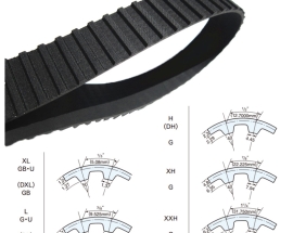 Dây curoa có mấy loại phổ biến?