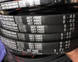 Dây curoa Mitsuboshi của nước nào?