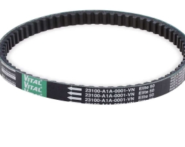 Dây curoa vital có tốt không? Những điều cần biết trước khi mua