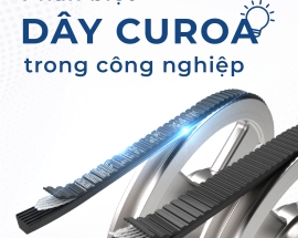 PHÂN BIỆT CÁC LOẠI DÂY CUROA VÀ BĂNG TẢI PHỔ BIẾN TRÊN THỊ TRƯỜNG
