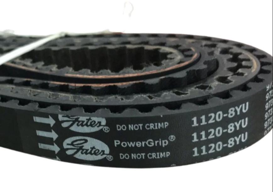 dây curoa giá rẻ