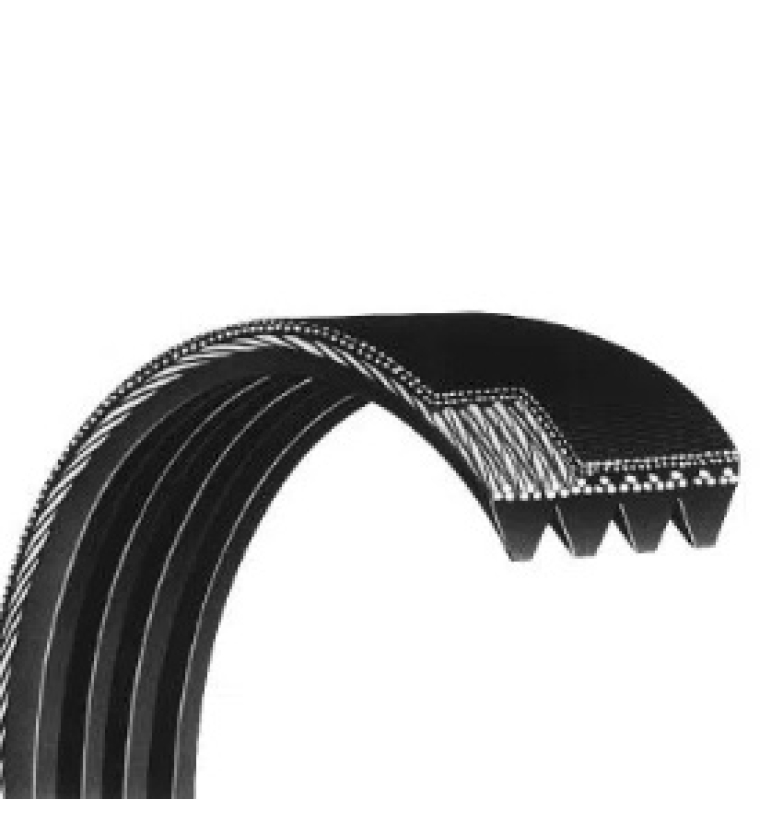 dây curoa sanwu giá rẻ