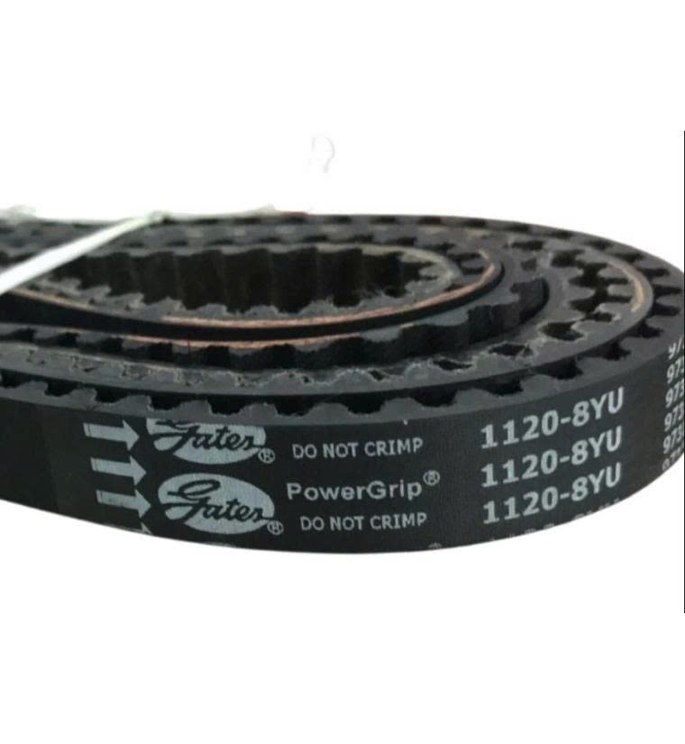 cung cấp dây curoa tại TPHCM 